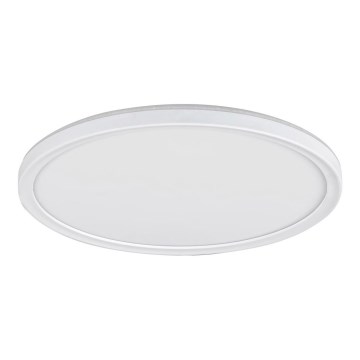 Rabalux - LED Stmívatelné stropní svítidlo LED/22W/230V