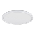 Rabalux - LED Stmívatelné stropní svítidlo LED/22W/230V pr. 42 cm