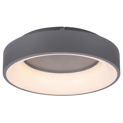 Rabalux - LED Stmívatelné stropní svítidlo LED/24W/230V kulatý 3000-6000K + dálkové ovládání