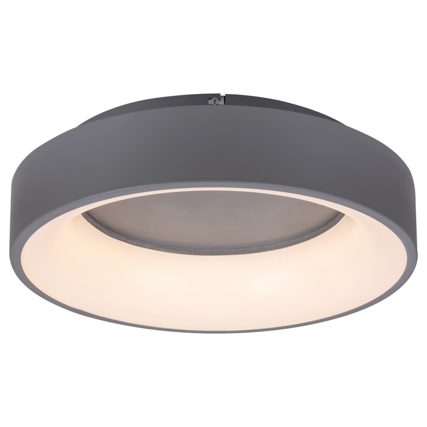 Rabalux - LED Stmívatelné stropní svítidlo LED/24W/230V kulatý 3000-6000K + dálkové ovládání