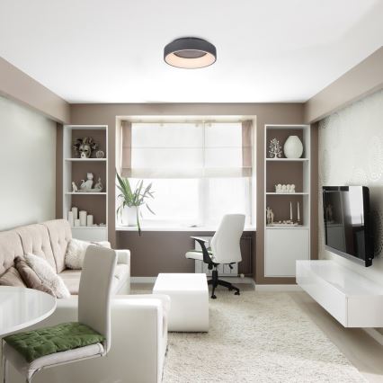 Rabalux - LED Stmívatelné stropní svítidlo LED/24W/230V kulatý 3000-6000K + dálkové ovládání