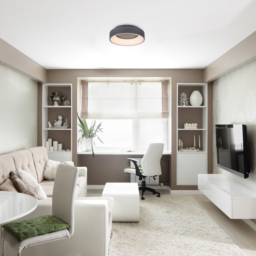 Rabalux - LED Stmívatelné stropní svítidlo LED/24W/230V kulatý 3000-6000K + dálkové ovládání