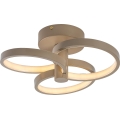 Rabalux - LED Stmívatelné stropní svítidlo LED/32W/230V 3000-6500K pr. 31 cm béžová + dálkové ovládání