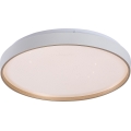 Rabalux - LED Stmívatelné stropní svítidlo LED/34W/230V 3000-6500K pr. 38 cm + dálkové ovládání