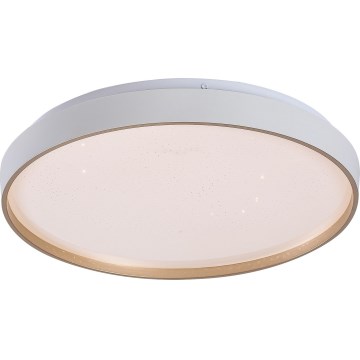 Rabalux - LED Stmívatelné stropní svítidlo LED/34W/230V 3000-6500K pr. 38 cm + dálkové ovládání