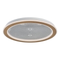 Rabalux - LED Stmívatelné stropní svítidlo LED/34W/230V 3000-6500K pr. 51 cm + dálkové ovládání