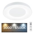 Rabalux - LED Stmívatelné stropní svítidlo LED/38W/230V 3000-6500K bílá + dálkové ovládání pr. 48 cm