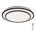 Rabalux - LED Stmívatelné stropní svítidlo LED/40W/230V 3000-6500K černá pr. 49 cm + dálkové ovládání
