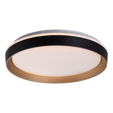 Rabalux - LED Stmívatelné stropní svítidlo LED/48W/230V 3000-6500K + dálkové ovládání