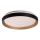 Rabalux - LED Stmívatelné stropní svítidlo LED/48W/230V 3000-6500K + dálkové ovládání