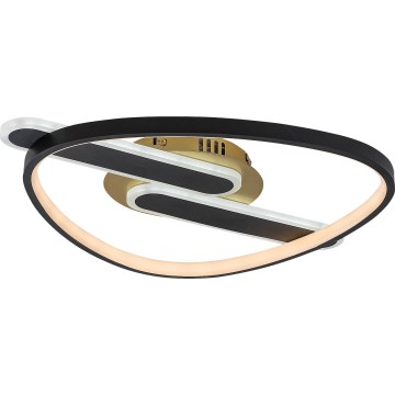 Rabalux - LED Stmívatelné stropní svítidlo LED/60W/230V 3000-6000K 53x45 cm + dálkové ovládání