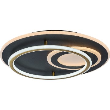 Rabalux - LED Stmívatelné stropní svítidlo LED/60W/230V 3000-6000K pr. 50 cm + dálkové ovládání