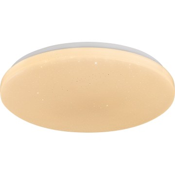 Rabalux - LED Stmívatelné stropní svítidlo LED/60W/230V 3000-6500K pr. 58 cm + dálkové ovládání