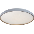 Rabalux - LED Stmívatelné stropní svítidlo LED/60W/230V 3000-6500K pr. 58 cm + dálkové ovládání