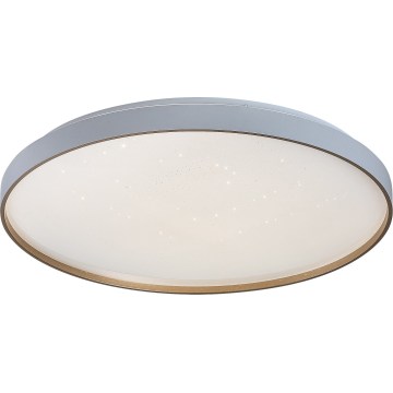 Rabalux - LED Stmívatelné stropní svítidlo LED/60W/230V 3000-6500K pr. 58 cm + dálkové ovládání
