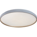 Rabalux - LED Stmívatelné stropní svítidlo LED/80W/230V 3000-6500K pr. 77 cm + dálkové ovládání