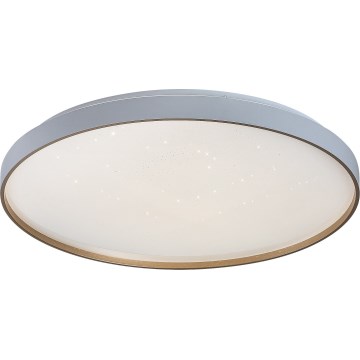Rabalux - LED Stmívatelné stropní svítidlo LED/80W/230V 3000-6500K pr. 77 cm + dálkové ovládání