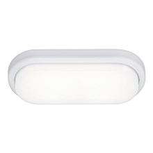 Rabalux - LED Stropní koupelnové svítidlo LED/15W IP54