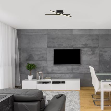 Rabalux - LED Stropní svítidlo 2xLED/14W/230V