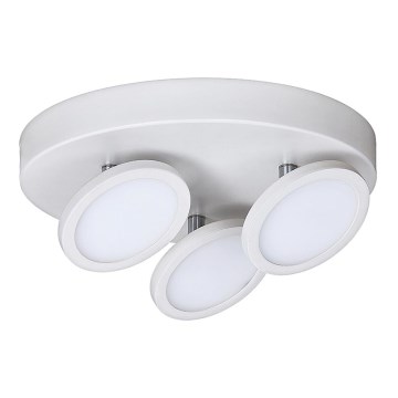 Rabalux - LED Stropní svítidlo 3xLED/6W/230V bílá