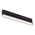 Rabalux - LED Stropní svítidlo do 1-fázového lištového systému LED/16W/24V 3000K 33 cm černá