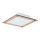 Rabalux  - LED Stropní svítidlo LARS 1xLED/12W/230V 30x30 cm