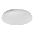 Rabalux - LED Stropní svítidlo LED/12W/230V 4000K 25 cm