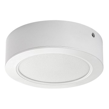 Rabalux - LED Stropní svítidlo LED/12W/230V pr. 14,5 cm