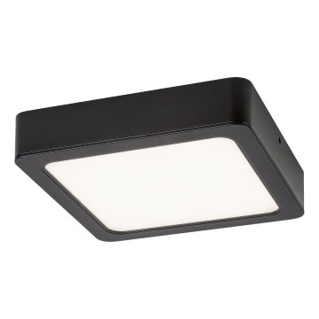 Rabalux - LED Stropní svítidlo LED/15W/230V 4000K 16x16 cm černá