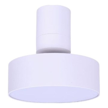 Rabalux - LED Stropní svítidlo LED/16W/230V 3000K bílá