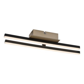 Rabalux - LED Stropní svítidlo LED/16W/230V 4000K
