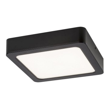 Rabalux - LED Stropní svítidlo LED/17W/230V 17x17 cm
