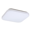 Rabalux - LED Stropní svítidlo LED/20W/230V 29x29 cm