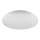 Rabalux - LED Stropní svítidlo LED/20W/230V pr. 29 cm