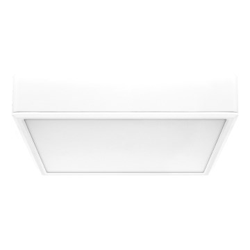 Rabalux - LED Stropní svítidlo LED/22W/230V 3000/4000/6000K 21x21 cm bílá