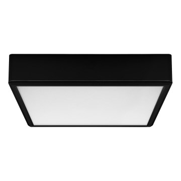 Rabalux - LED Stropní svítidlo LED/22W/230V 3000/4000/6000K 21x21 cm černá