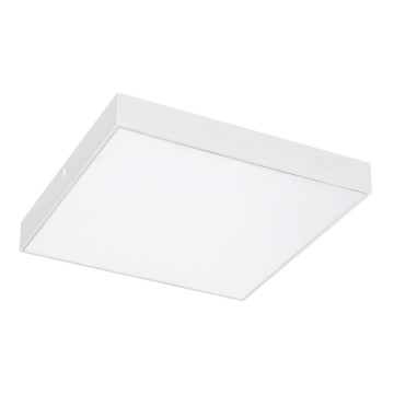 Rabalux - LED Stropní svítidlo LED/24W/230V 2800-6000K IP44 bílá 30x30 cm