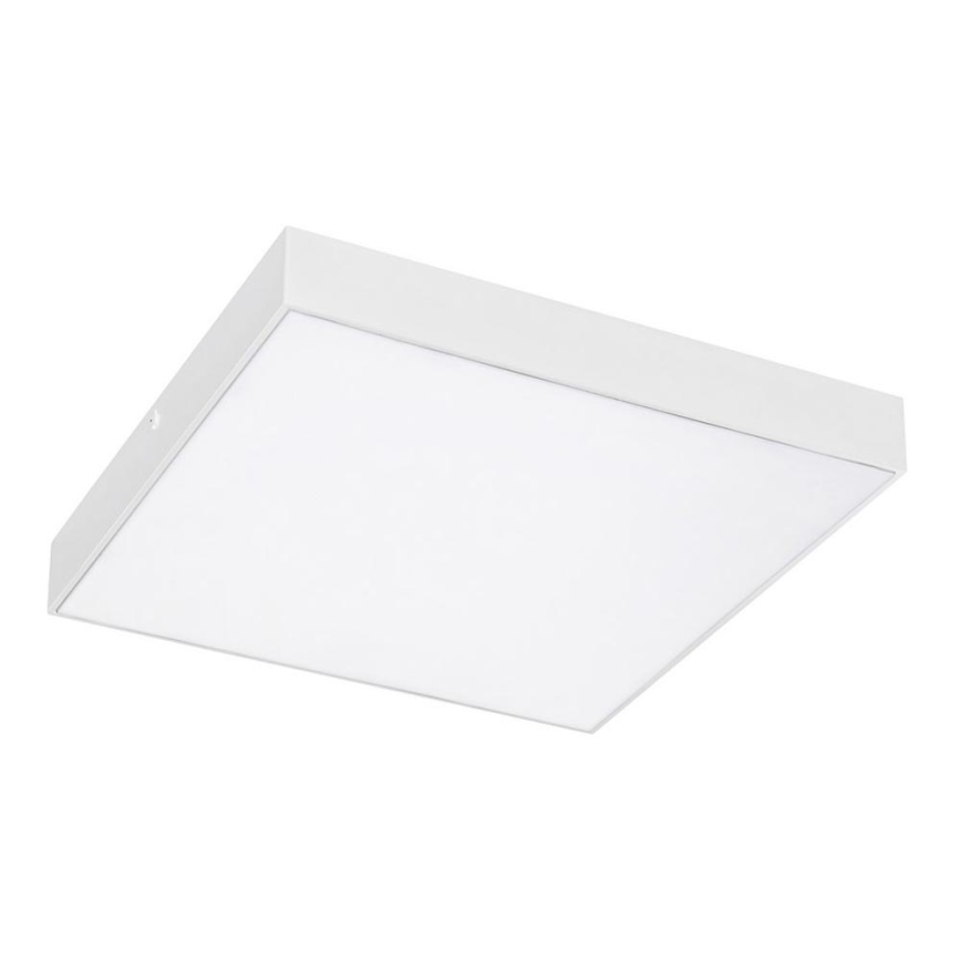 Rabalux - LED Stropní svítidlo LED/24W/230V 2800-6000K IP44 bílá