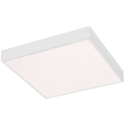 Rabalux - LED Stropní svítidlo LED/24W/230V 2800-6000K IP44 bílá