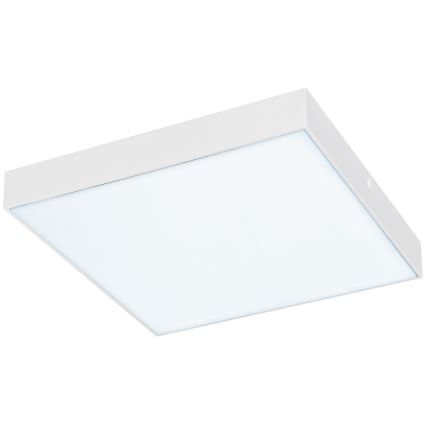 Rabalux - LED Stropní svítidlo LED/24W/230V 2800-6000K IP44 bílá