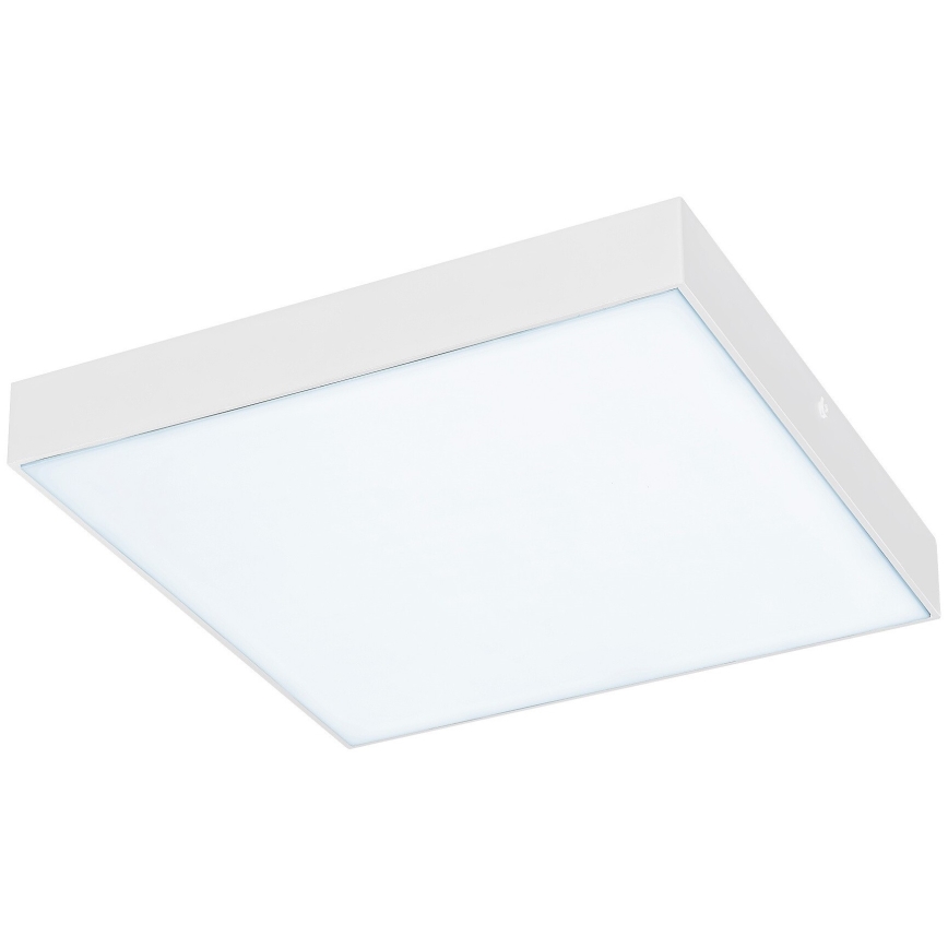 Rabalux - LED Stropní svítidlo LED/24W/230V 2800-6000K IP44 bílá