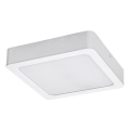 Rabalux - LED Stropní svítidlo LED/24W/230V 3000K 22x22 cm bílá