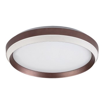 Rabalux - LED Stropní svítidlo LED/24W/230V 3000K