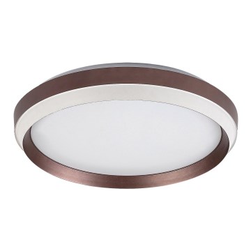 Rabalux - LED Stropní svítidlo LED/24W/230V 3000K pr. 39 cm