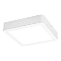 Rabalux - LED Stropní svítidlo LED/24W/230V 4000K 22x22 cm