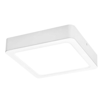 Rabalux - LED Stropní svítidlo LED/24W/230V 4000K 22x22 cm