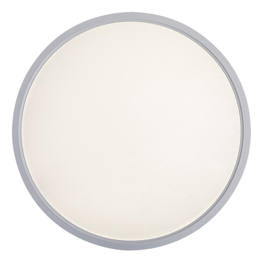 Rabalux - LED Stropní svítidlo LED/24W/230V 4000K pr. 30 cm bílá
