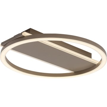 Rabalux - LED Stropní svítidlo LED/24W/230V pr. 33 cm
