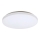 Rabalux - LED Stropní svítidlo LED/32W/230V pr. 38 cm