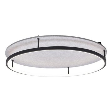 Rabalux - LED Stropní svítidlo LED/40W/230V 3000/4000K pr. 57,5 cm